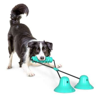 Pet Interactive Toys Hot Sale Tooth Cleaning Suction Cup Dog Toy High Quality Molar Dog Chew Toys